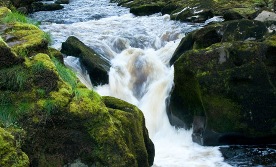 The Strid at Bolton Abbey
